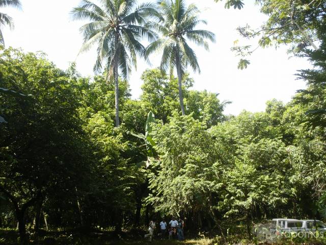 GANGA APROVECHEN - Image 1