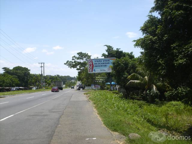 GANGA APROVECHEN - Image 2