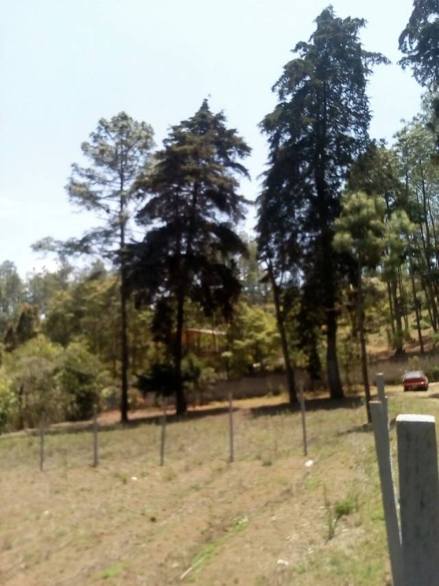 Chimaltenango, V/Terreno cerca de Finca la Loma - Image 1