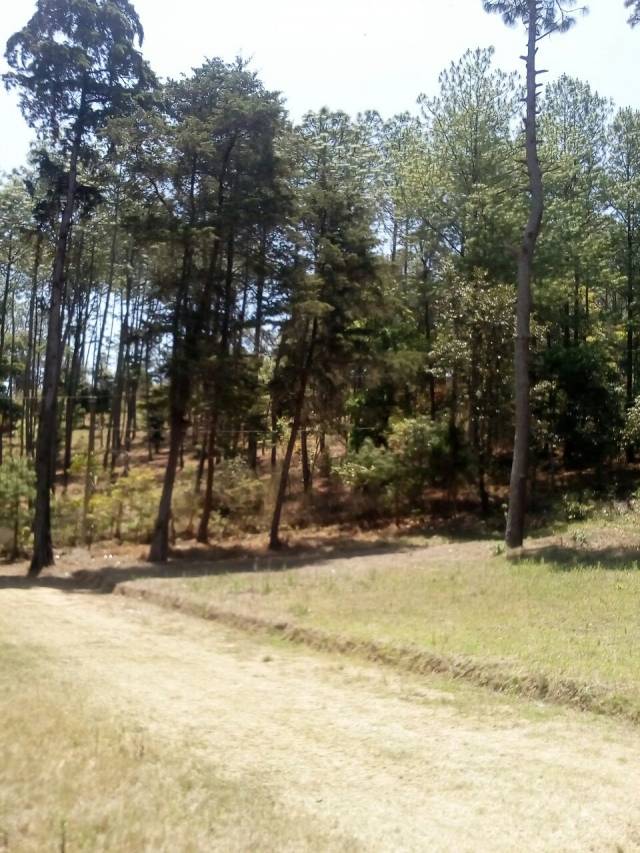 Chimaltenango, V/Terreno cerca de Finca la Loma - Image 2
