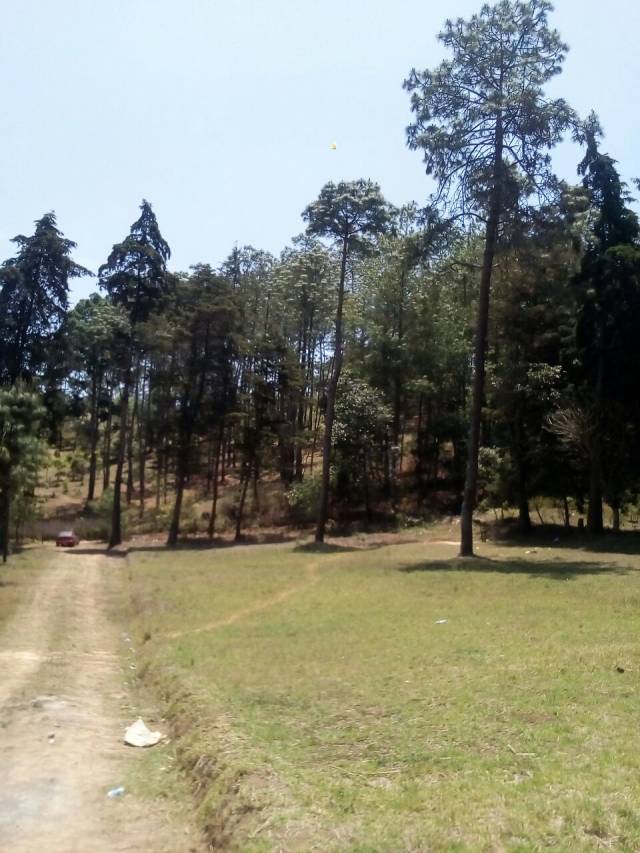 CHIMALTENANGO/Terreno de 10x30mts - Image 1