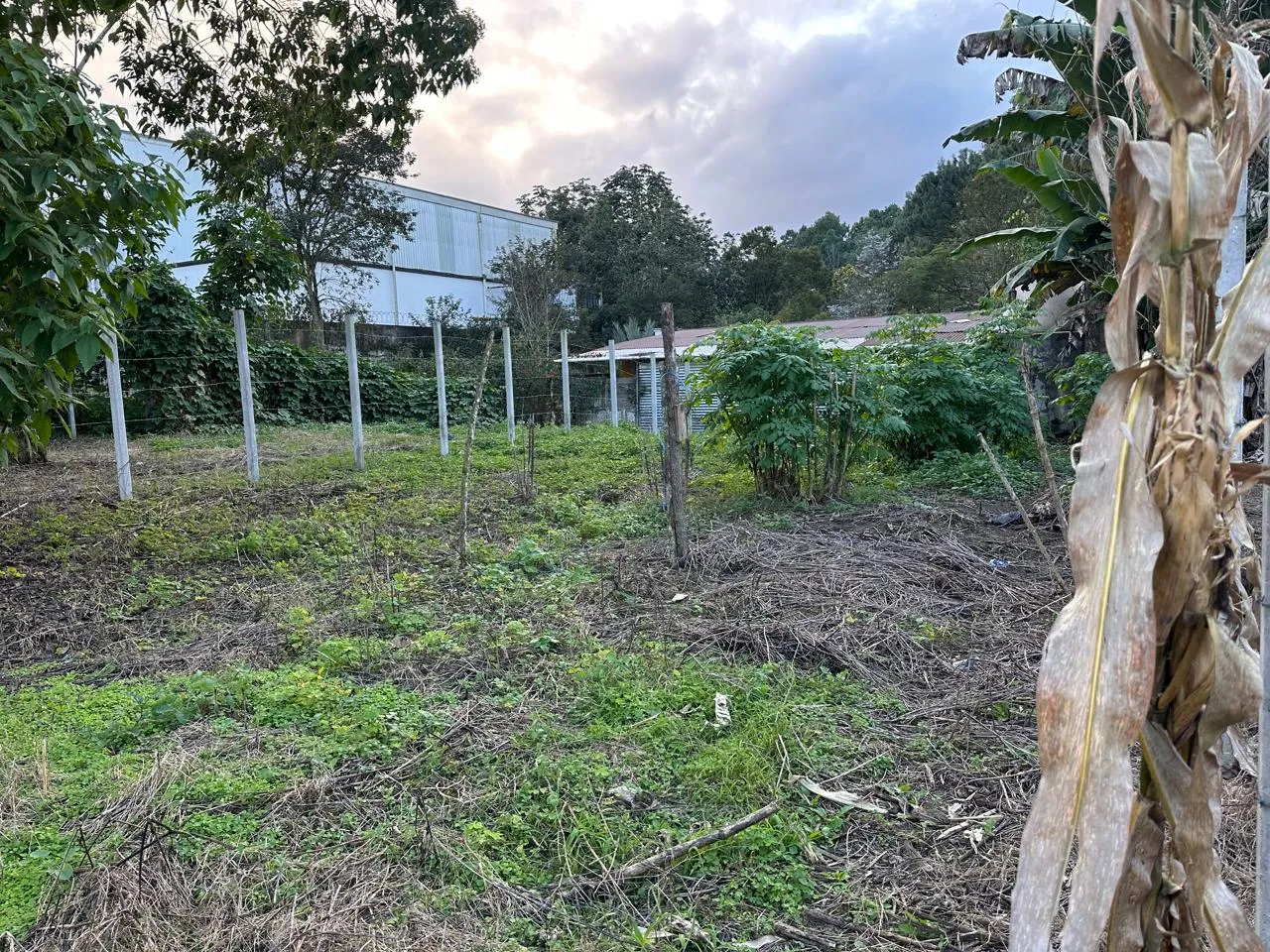 Venta de Lote Peri Urbano - Image 2