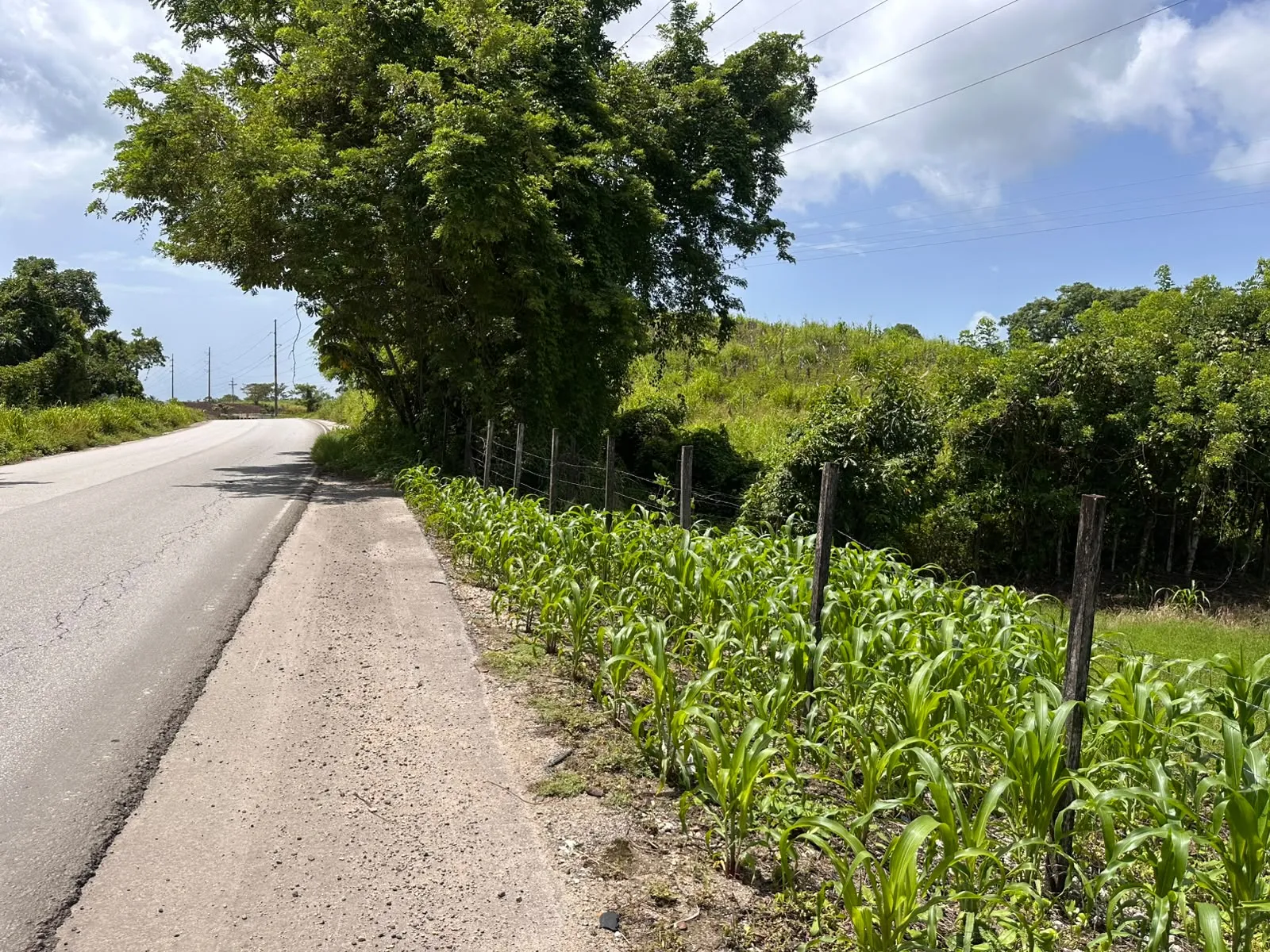 Vendo Manzana en Tierra Linda Ruta Playa Grande. - Miniatura 6