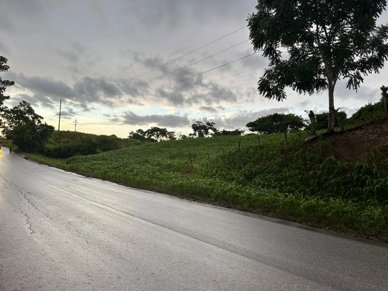 Vendo Manzana en Tierra Linda Ruta Playa Grande. - Miniatura 8