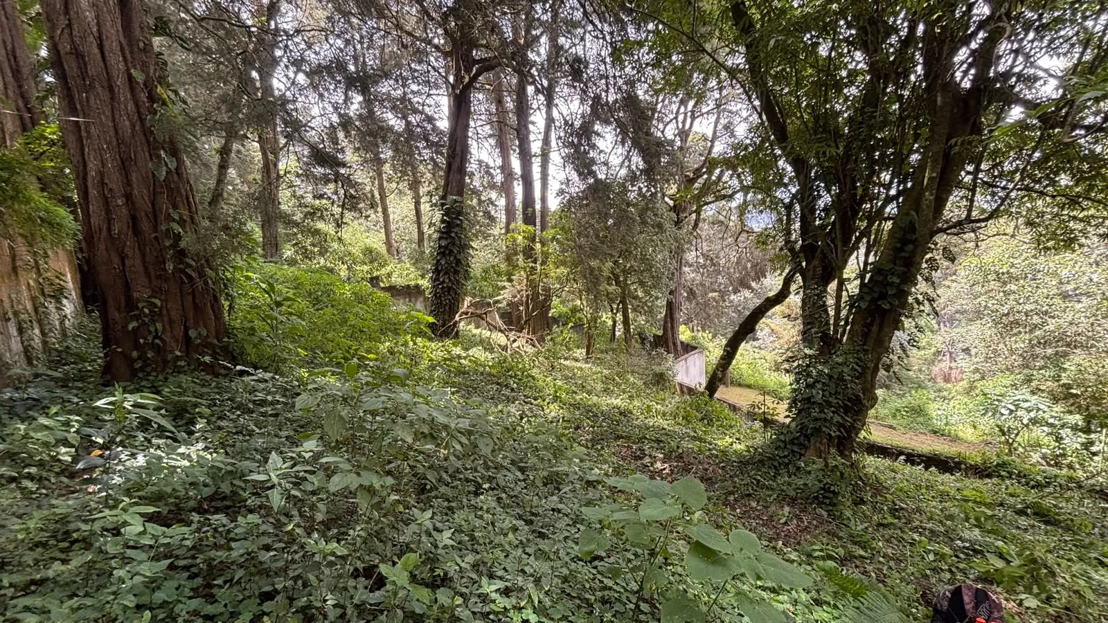 Lote en Venta, Granjas Jardín El Alto, Santiago Sac. - 2