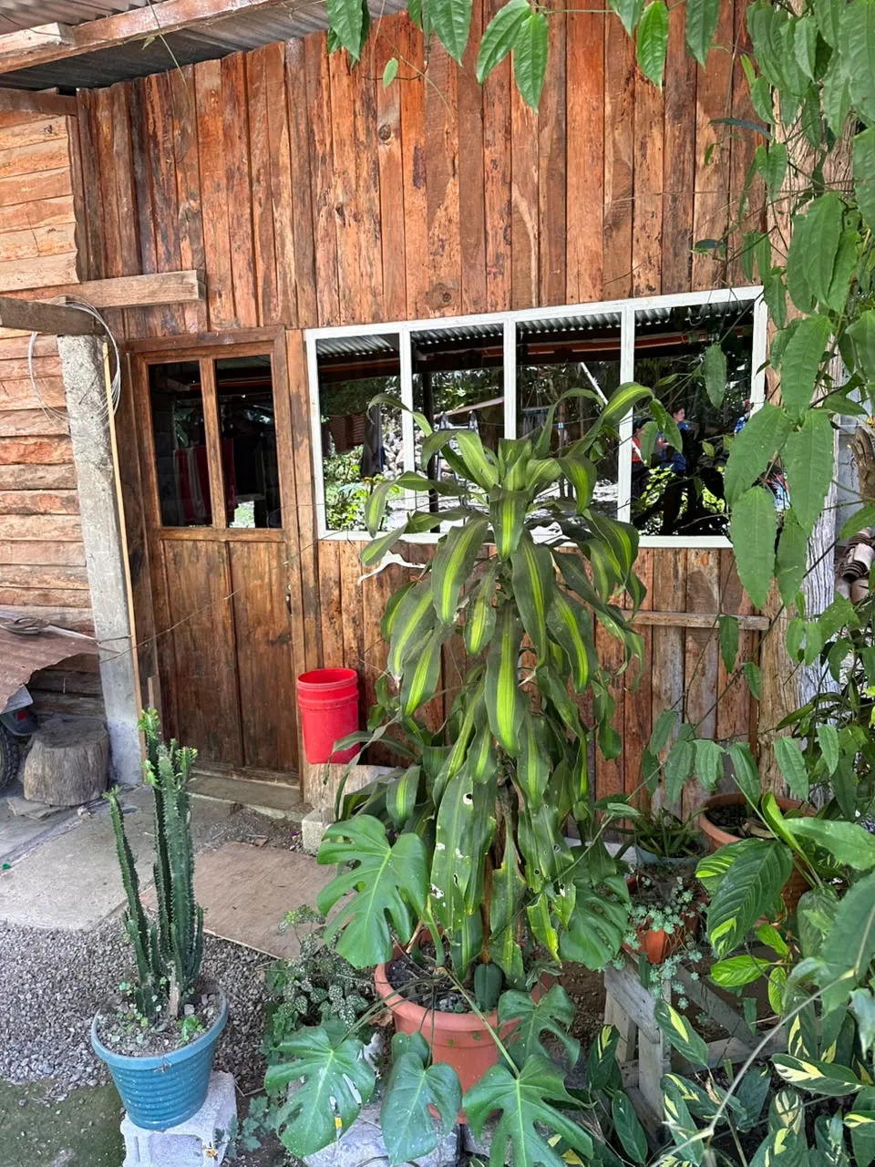 SE VENDE HERMOSA PROPIEDAD CON CASA EN PURULHA, BARRIO SANTA CRUZ — foto 4